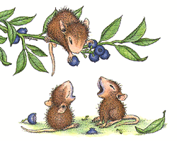 Cuties eating berries